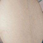 Шаманский бубен